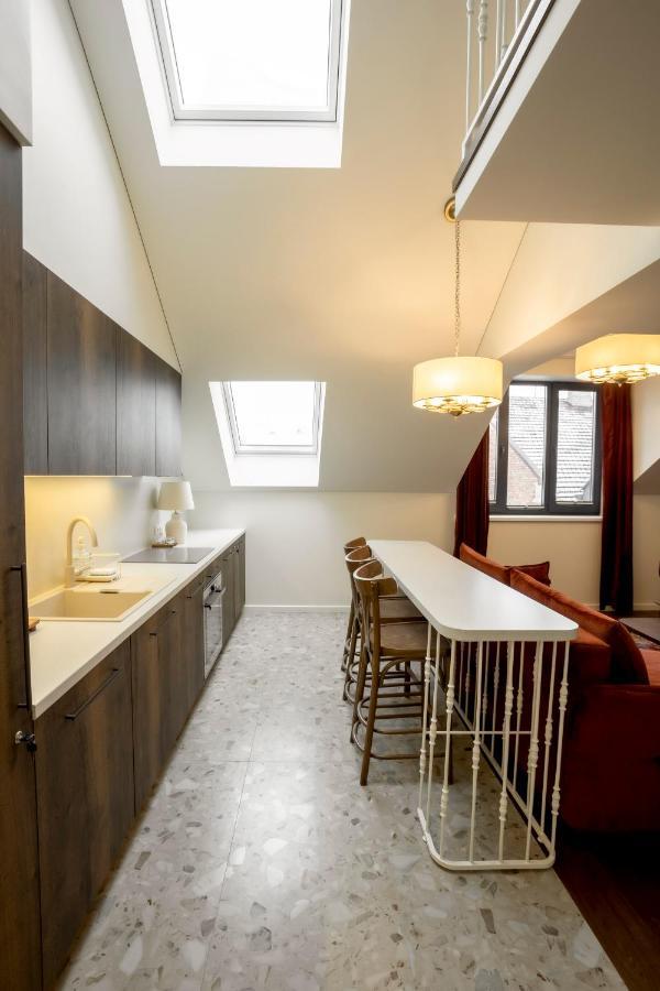 考纳斯Loft 27公寓 外观 照片